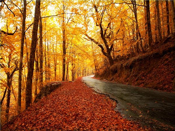Autumn Scenery 002 Wallpaper by MywallpaperSho