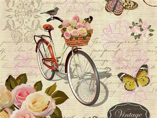 Bicycle 003 Wallpaper by MywallpaperSho