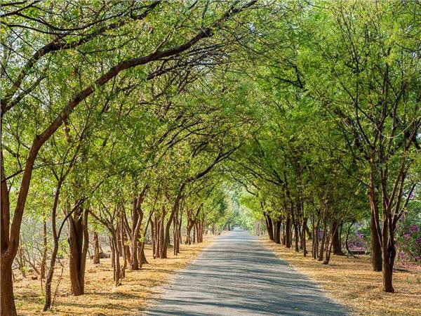 Nature Scenery 003 Wallpaper by MywallpaperSho