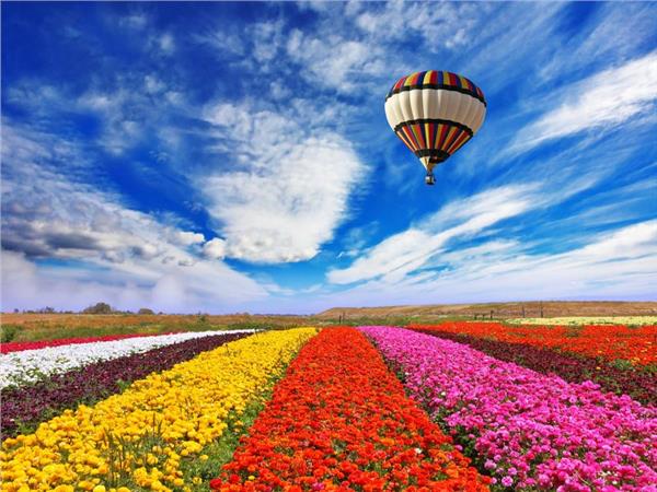 Balloon Scenery 003 Wallpaper by MywallpaperShop