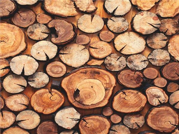 Wooden Scene 003 Wallpaper by MywallpaperShop