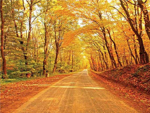 Autumn Scenery 005 Wallpaper by MywallpaperSho
