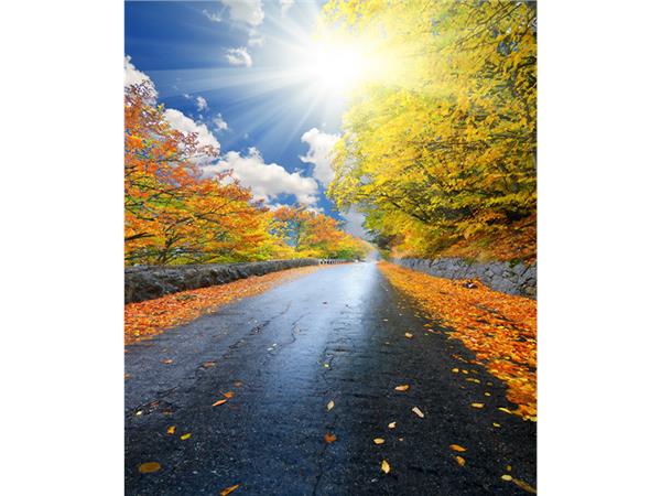 Autumn Scenery 006 Wallpaper by MywallpaperSho