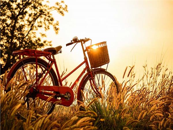 Bicycle 006 Wallpaper by MywallpaperSho