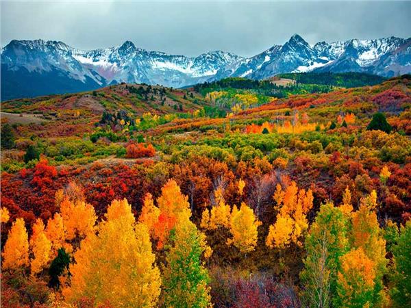 Autumn Scenery 007 Wallpaper by MywallpaperSho