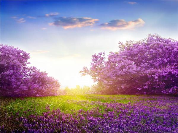 Nature Scenery 008 Wallpaper by MywallpaperSho