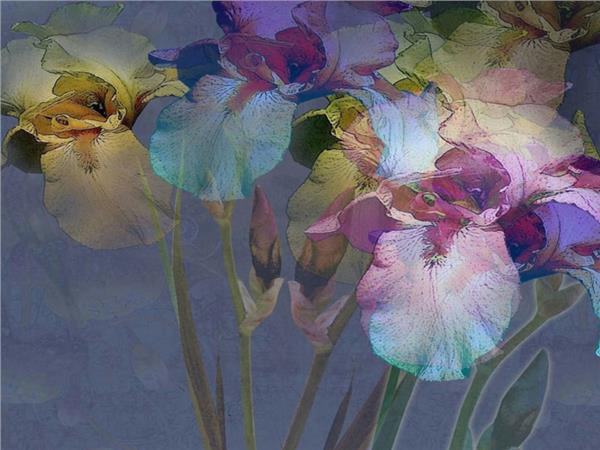 Flower Design Custom Design 0104 3D Wallpaper by MywallpaperShop