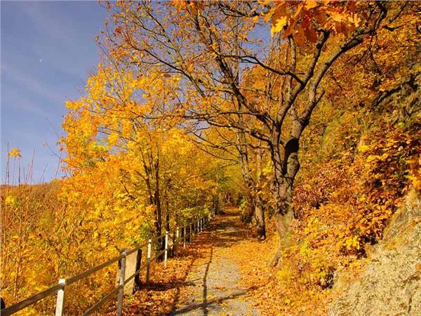 Autumn Scenery 009 Wallpaper by MywallpaperSho