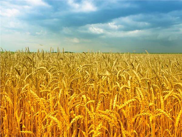 Autumn Scenery 010 Wallpaper by MywallpaperSho