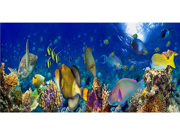 Aquarium Scene 012 3D Wallpaper by MywallpaperSho