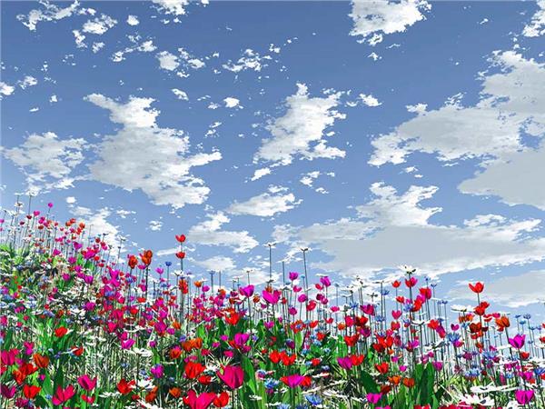 Flower Design 012 Wallpaper by MywallpaperSho