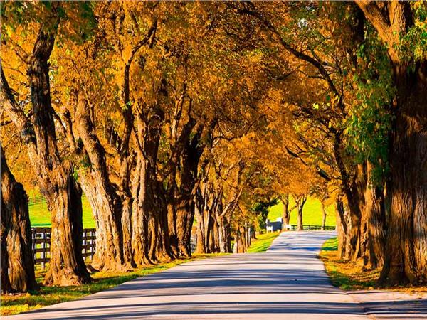 Autumn Scenery 013 Wallpaper by MywallpaperSho