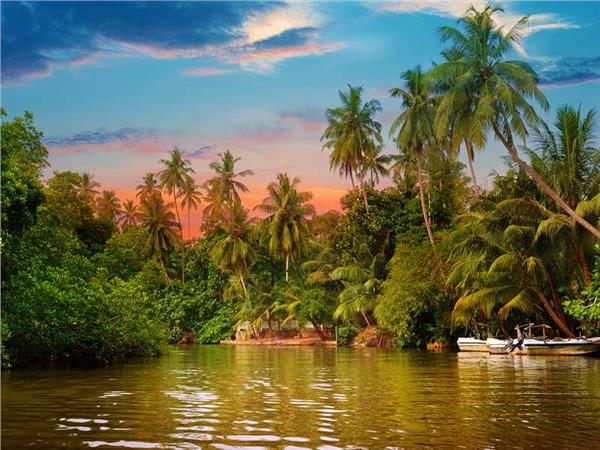 Nature Scenery 013 Wallpaper by MywallpaperSho