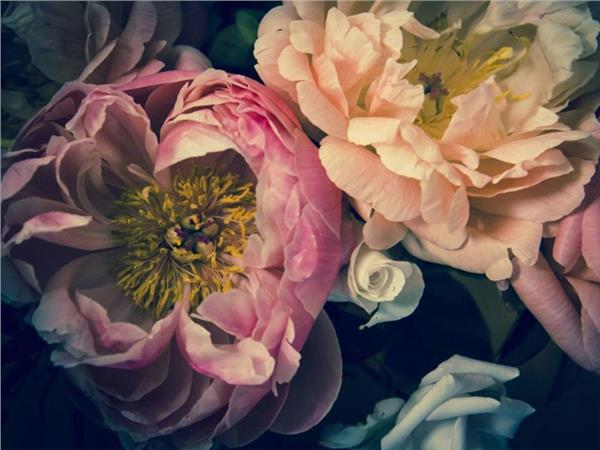 Flower Design 094 Wallpaper by MywallpaperShop