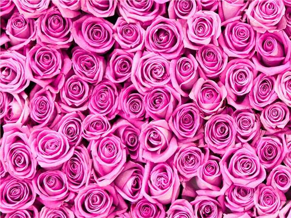 Flower Design 015 Wallpaper by MywallpaperSho