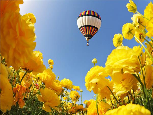 Balloon Scenery 015 Wallpaper by MywallpaperShop