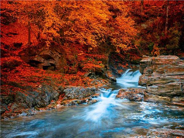 Autumn Scenery 016 Wallpaper by MywallpaperSho