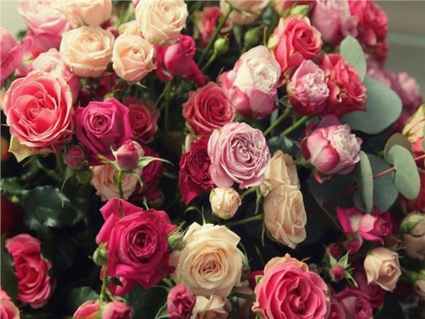 Flower Design 096 Wallpaper by MywallpaperShop