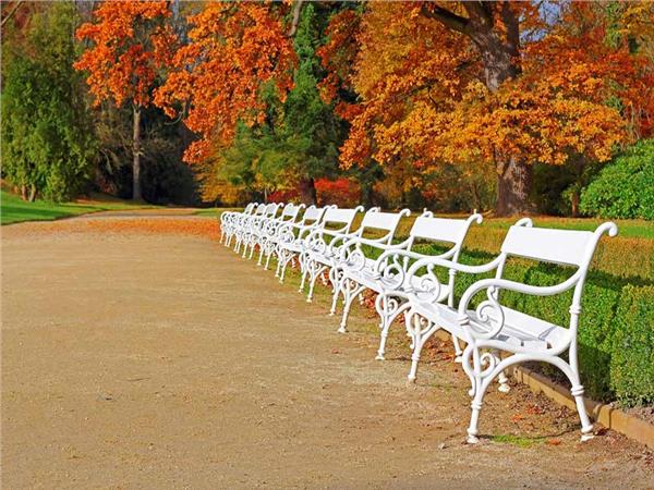 Autumn Scenery 017 Wallpaper by MywallpaperSho