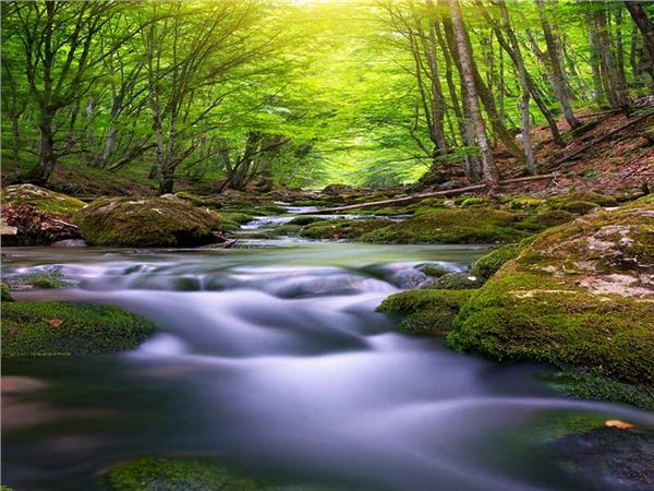 Nature Scenery 017 Wallpaper by MywallpaperSho