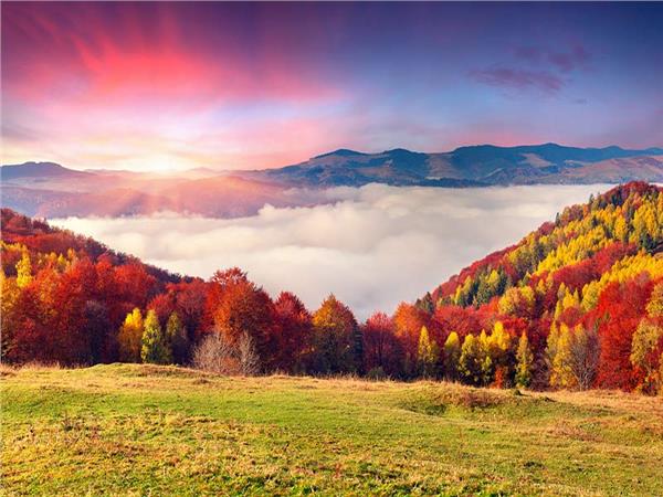 Autumn Scenery 018 Wallpaper by MywallpaperSho