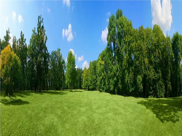 Nature Scenery 018 Wallpaper by MywallpaperSho