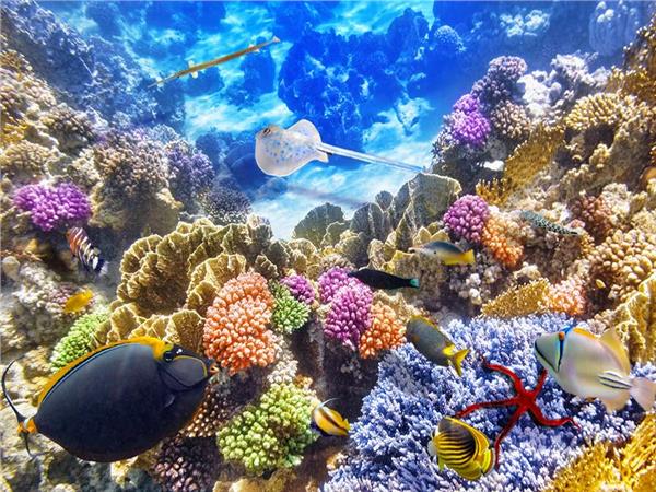 Aquarium Scene 019 3D Wallpaper by MywallpaperSho