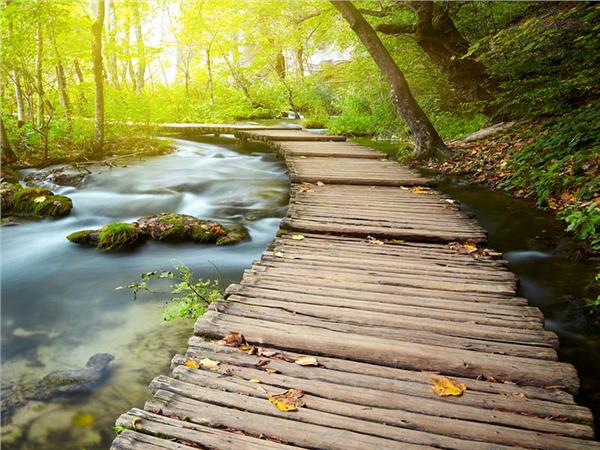 Nature Scenery 019 Wallpaper by MywallpaperSho