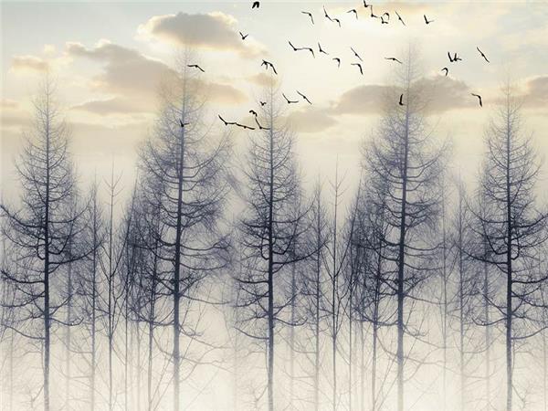 Nature Scenery 020 Wallpaper by MywallpaperSho