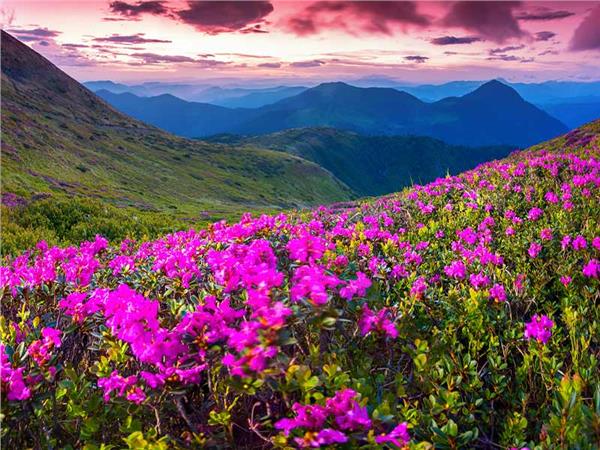 Nature Scenery 021 Wallpaper by MywallpaperSho