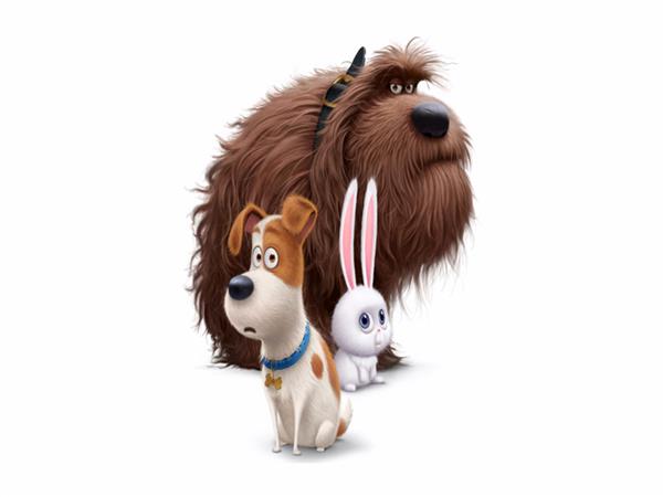 Dog Scene 021 Wallpaper by MywallpaperSho