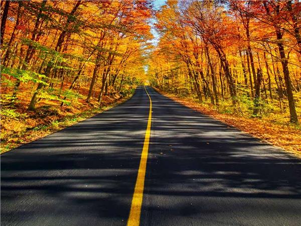 Autumn Scenery 022 Wallpaper by MywallpaperSho