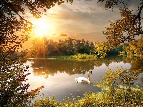 Autumn Scenery 025 Wallpaper by MywallpaperSho