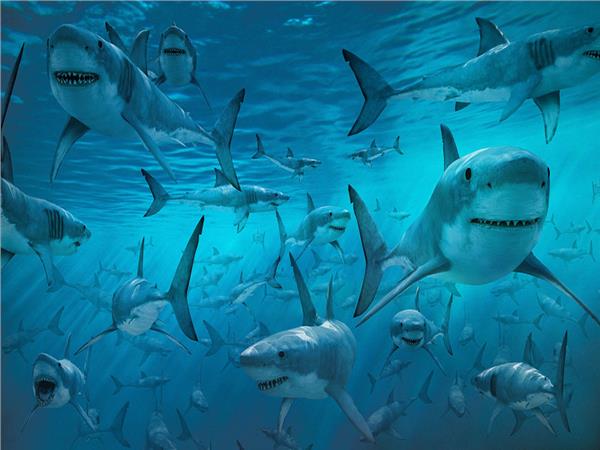 Aquarium Scene 025 3D Wallpaper by MywallpaperSho