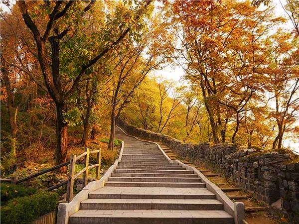Autumn Scenery 026 Wallpaper by MywallpaperSho