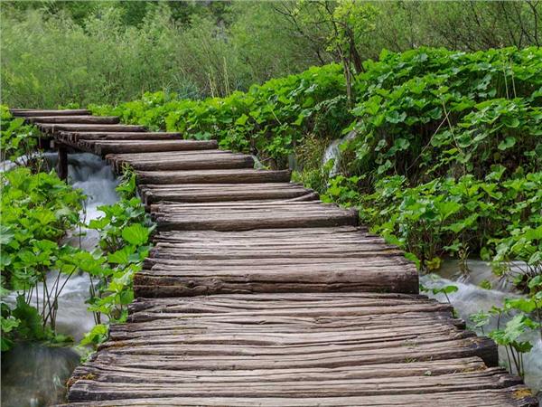 Nature Scenery 026 Wallpaper by MywallpaperSho