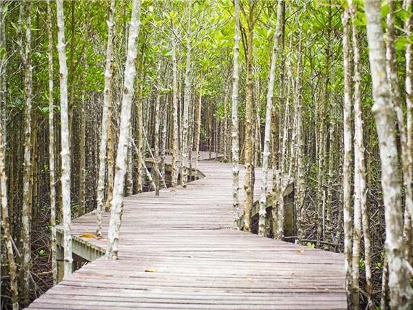 Nature Scenery 027 Wallpaper by MywallpaperSho