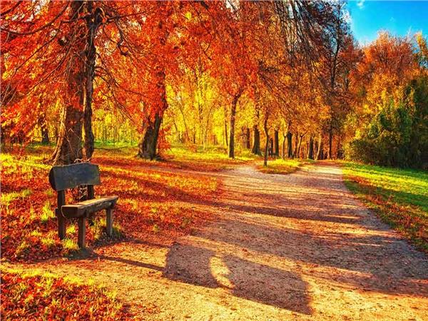 Autumn Scenery 028 Wallpaper by MywallpaperSho