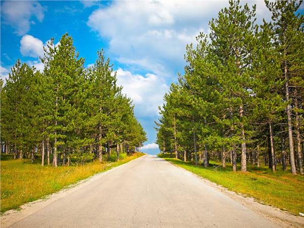 Nature Scenery 029 Wallpaper by MywallpaperSho