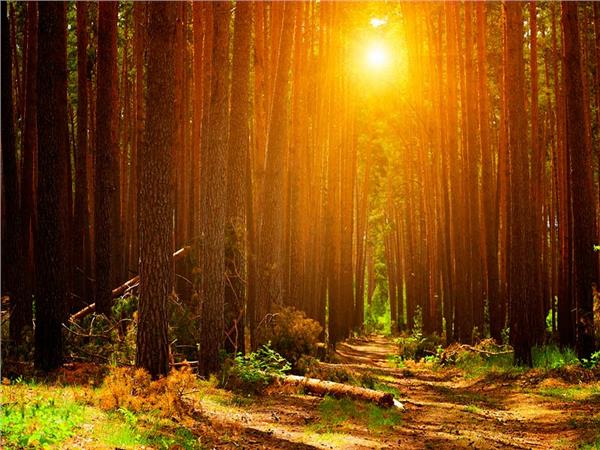 Autumn Scenery 030 Wallpaper by MywallpaperSho