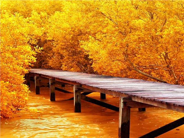 Autumn Scenery 031 Wallpaper by MywallpaperSho