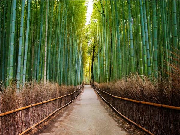 Nature Scenery 031 Wallpaper by MywallpaperSho