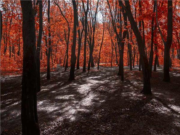 Autumn Scenery 032 Wallpaper by MywallpaperSho