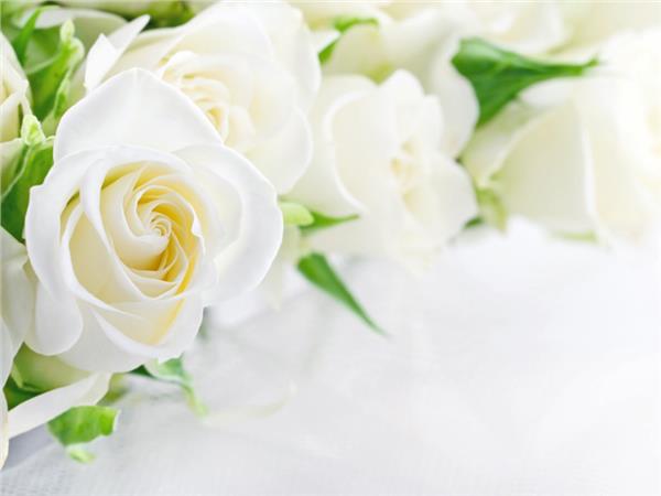 Flower Design Custom Design 0124 3D Wallpaper by MywallpaperShop