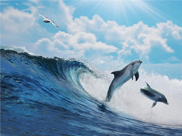 Aquarium Scene 033 3D Wallpaper by MywallpaperSho
