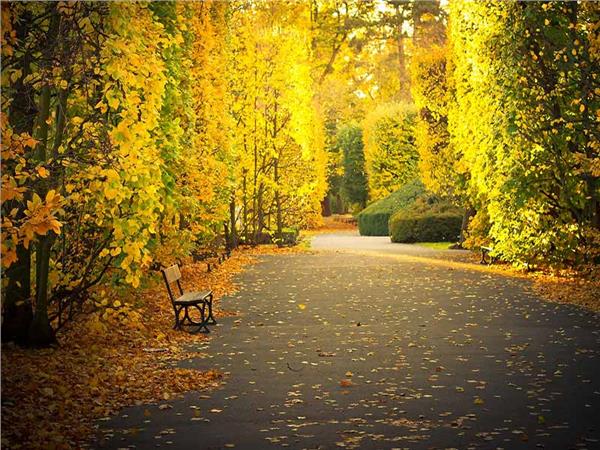 Nature Scenery 034 Wallpaper by MywallpaperSho