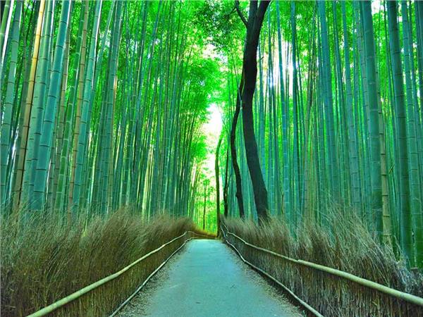 Nature Scenery 035 Wallpaper by MywallpaperSho