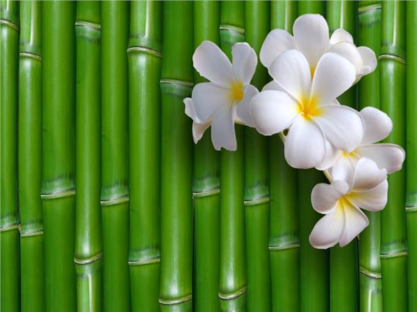 Flower Design Custom Design 0128 3D Wallpaper by MywallpaperShop