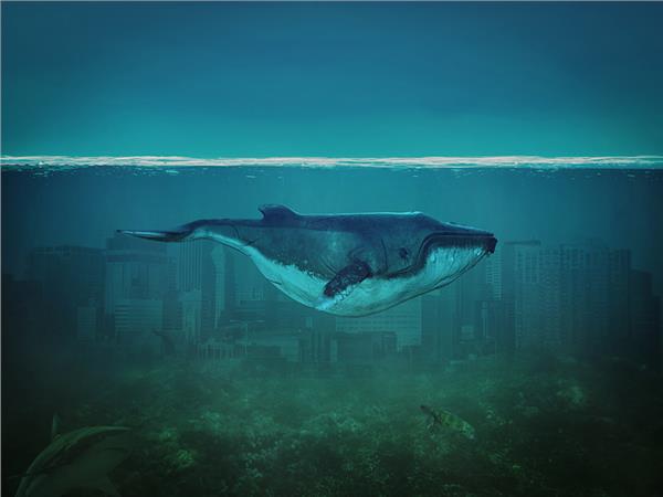 Aquarium Scene 038 3D Wallpaper by MywallpaperSho