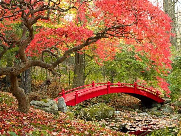 Nature Scenery 039 Wallpaper by MywallpaperSho